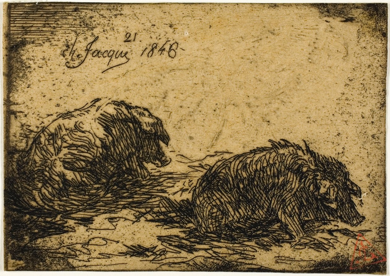 Kaksi sikaa makuulla tekijältä Charles Emile Jacque