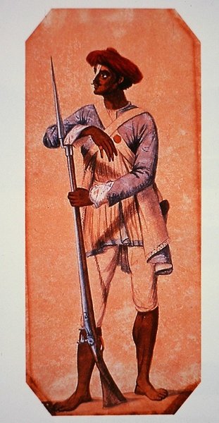Tipu Sultanin, Mysoren sulttaanin sotilas, aseistettu piikivimusketilla (värinen lito) tekijältä Charles Emilius (after) Gold