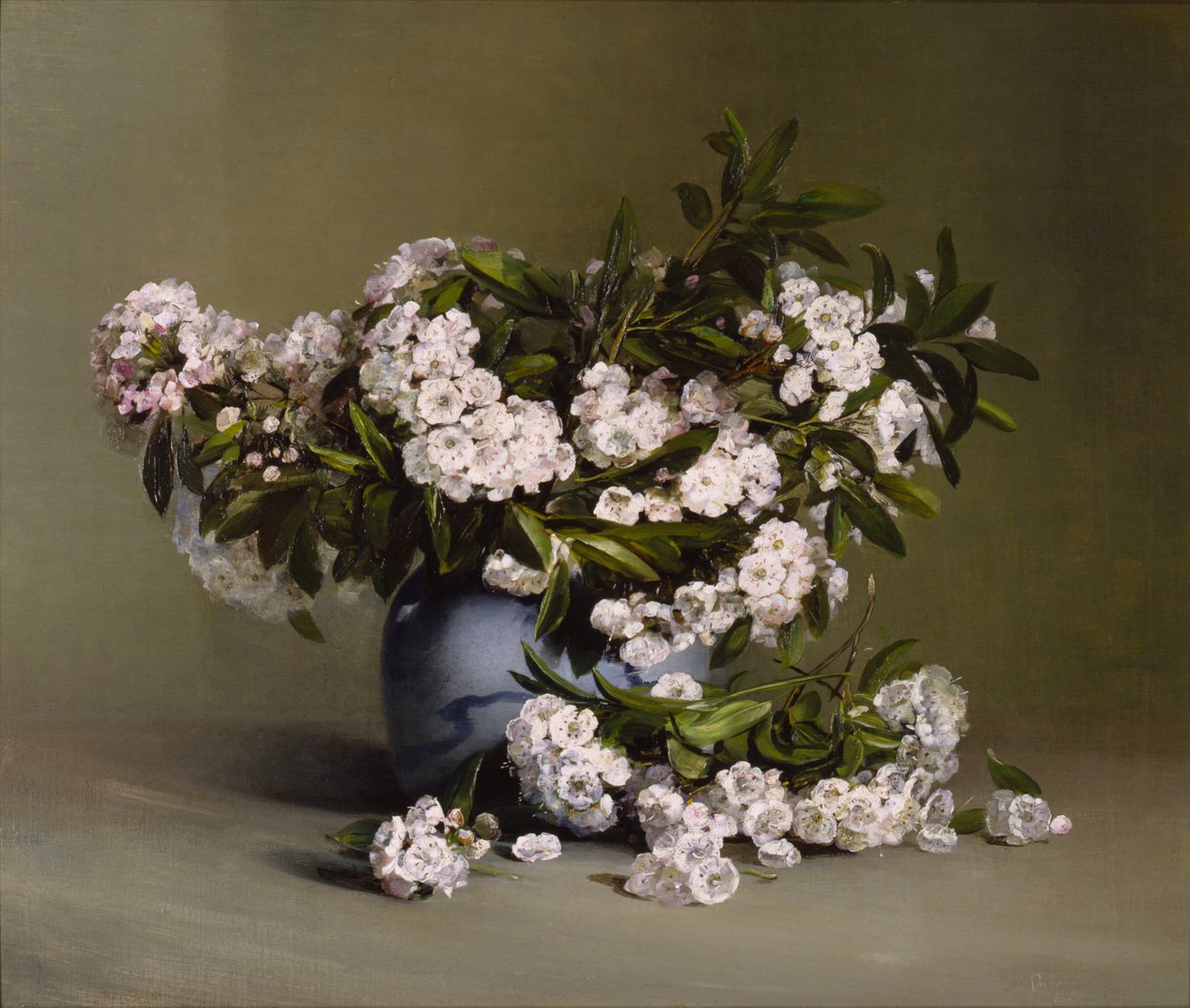 Mountain Laurel tekijältä Charles Ethan Porter