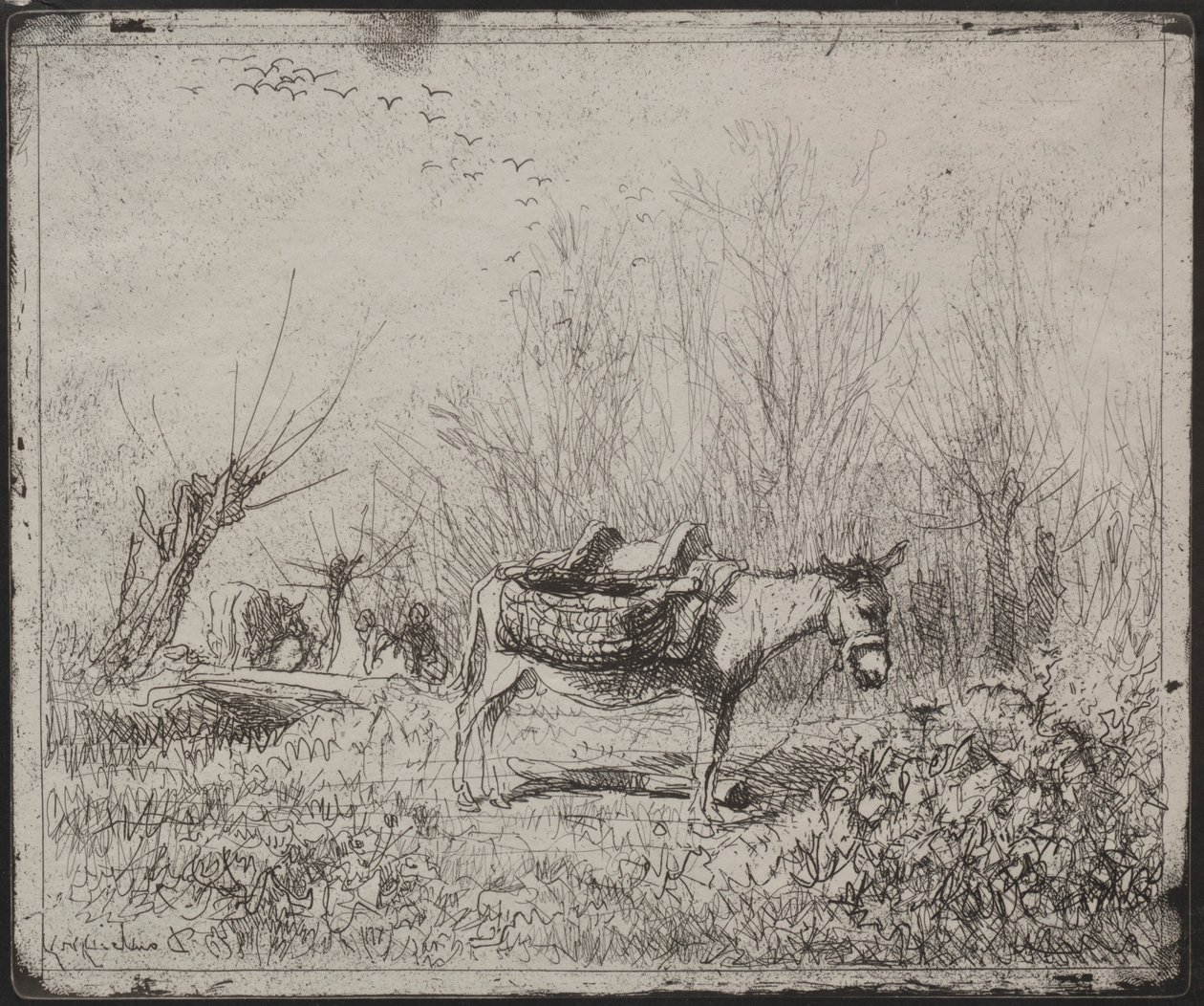 Aasi pellolla, alkuperäinen jäljennös 1862, painettu 1921. tekijältä Charles Francois Daubigny
