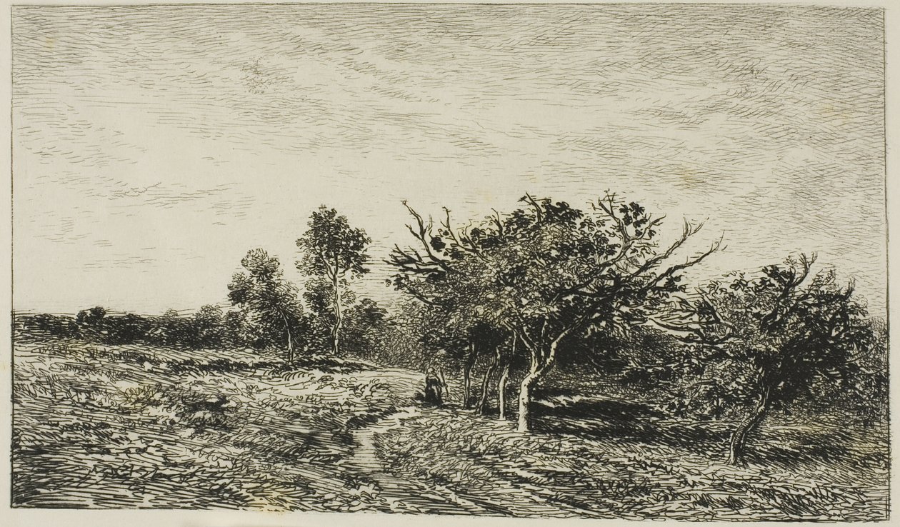 Omenapuut Auversissa tekijältä Charles Francois Daubigny