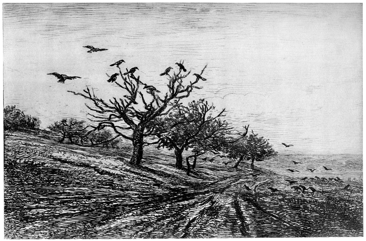 Varispuu, 1840-1875, 1924 tekijältä Charles Francois Daubigny