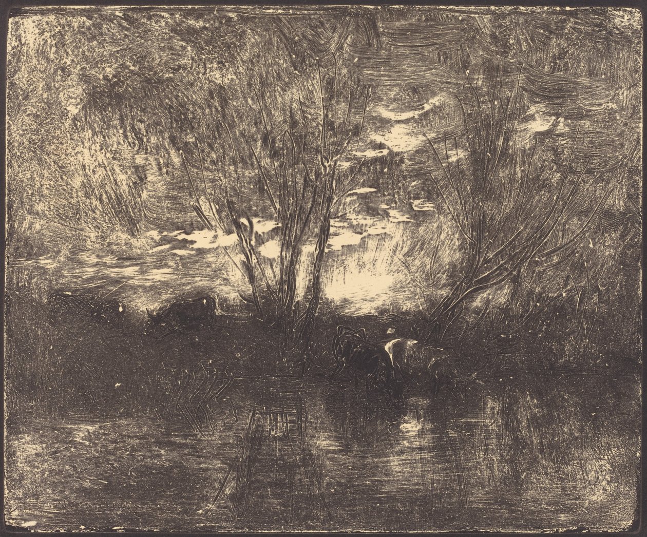 Lehmät juomapaikalla tekijältä Charles Francois Daubigny