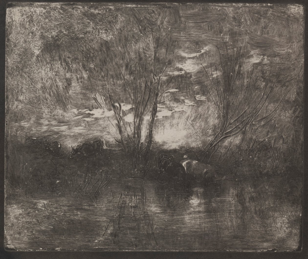 Lehmät juomapaikalla, alkuperäinen jäljennös 1862, painettu 1921. tekijältä Charles Francois Daubigny