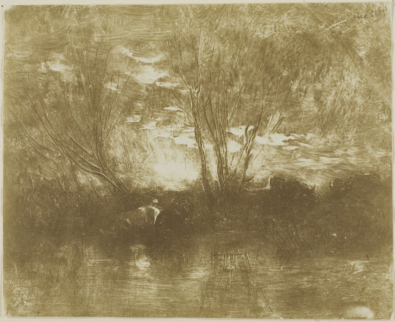 Lehmät juomapaikalla tekijältä Charles Francois Daubigny
