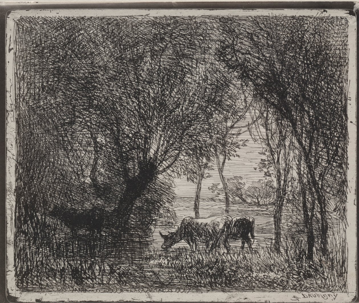 Lehmät metsässä, alkuperäinen jäljennös 1862, painettu 1921. tekijältä Charles Francois Daubigny