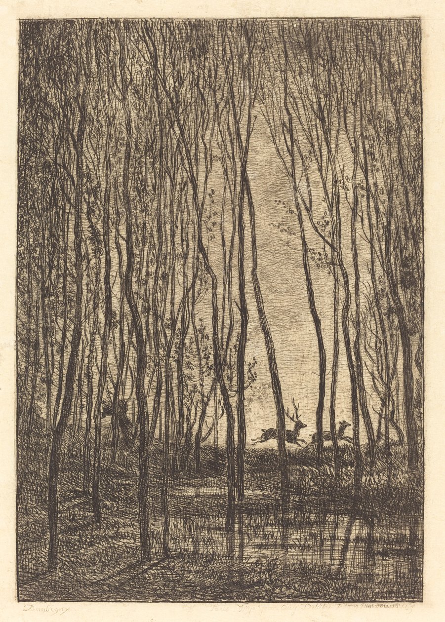 Hirvi metsässä tekijältä Charles Francois Daubigny