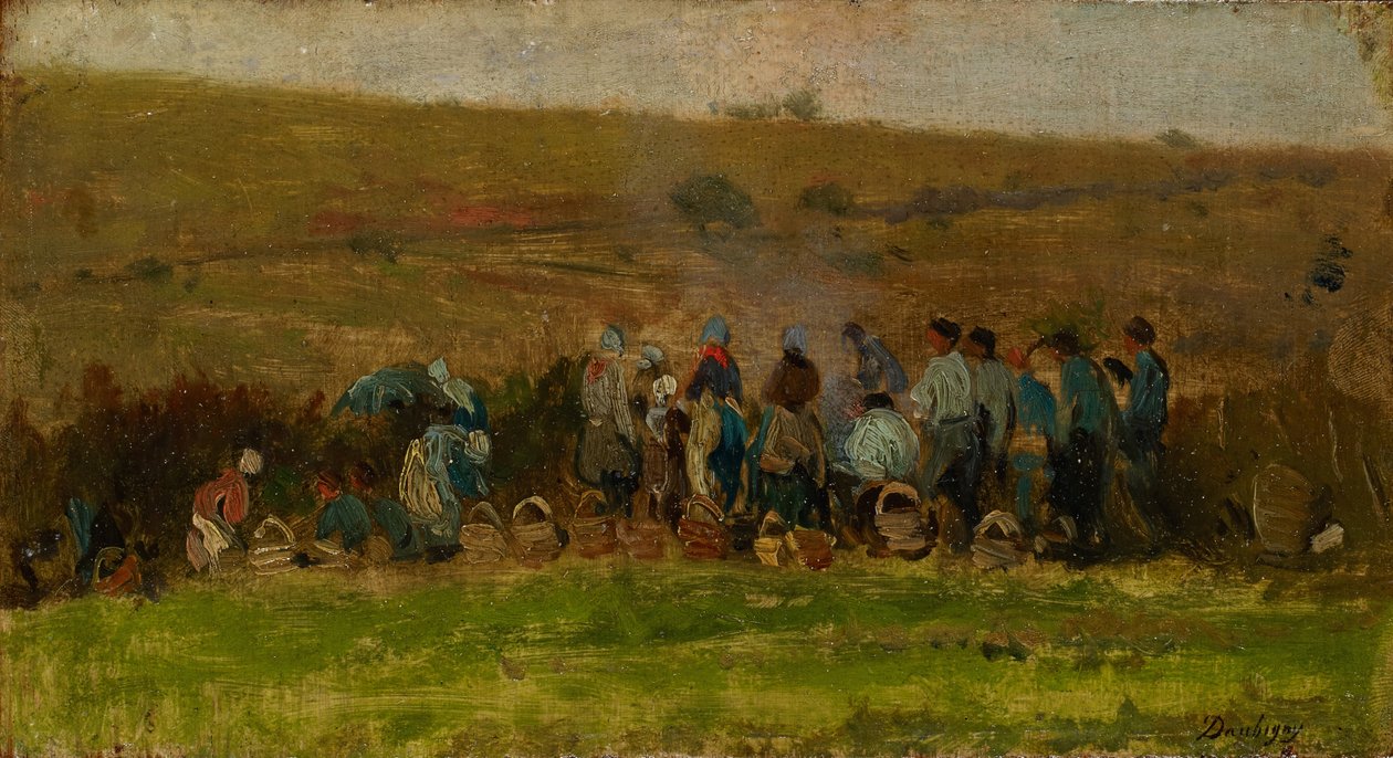 Viljelijät keräävät perunoita (öljy tammella) tekijältä Charles Francois Daubigny