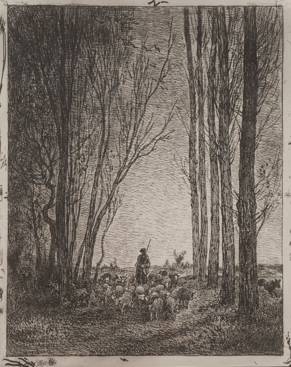 Kokoontuminen laumaan tekijältä Charles Francois Daubigny