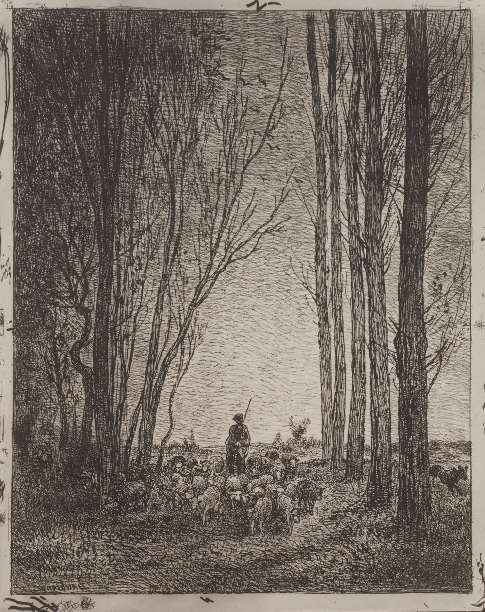 Gathering in the Flock, alkuperäinen jäljennös 1862, painettu 1921. tekijältä Charles Francois Daubigny