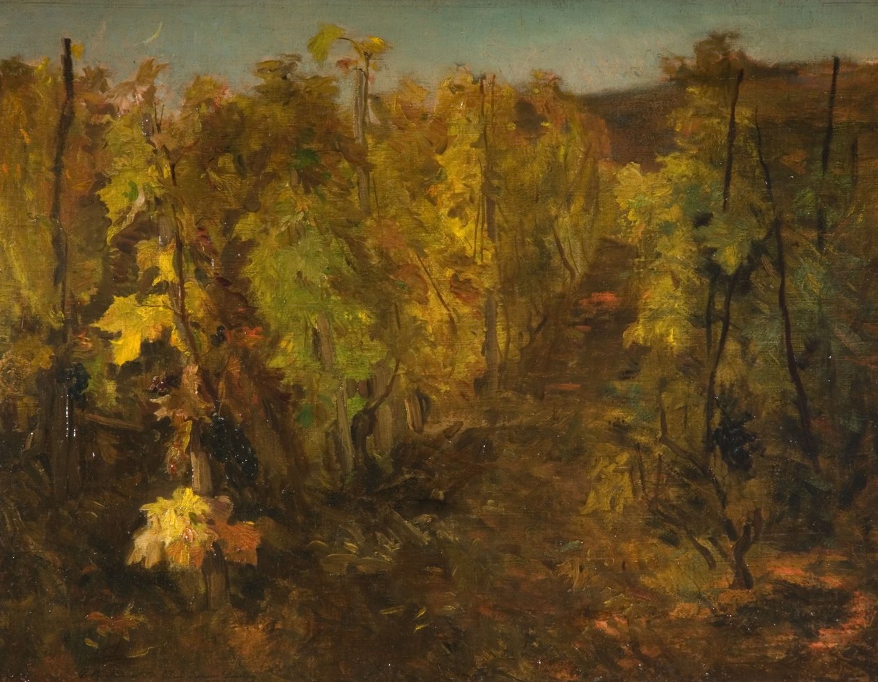 Viiniköynnös, 1860-1863 tekijältä Charles Francois Daubigny