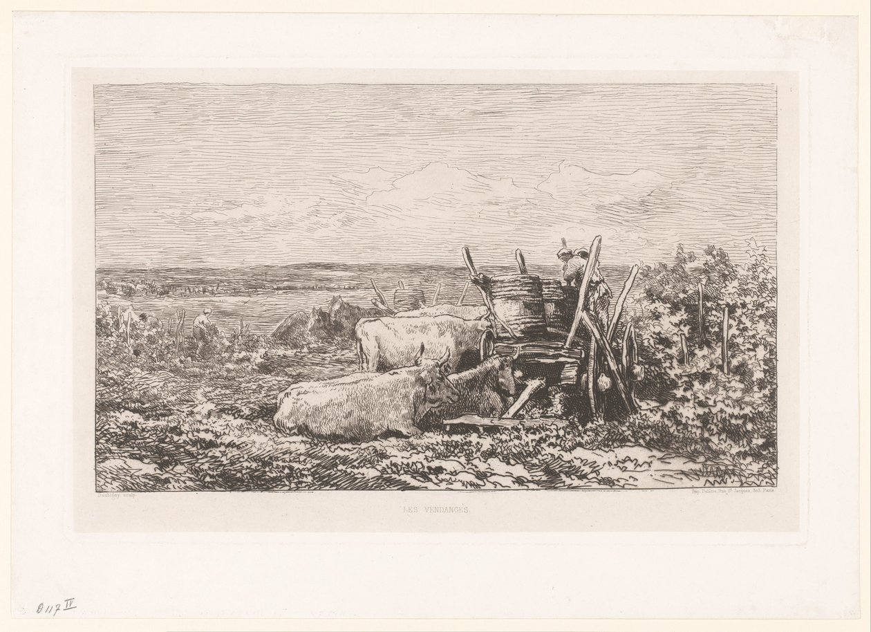 Maisema lepäävien karjan kanssa viiniköynnösten välissä Les vendanges. (otsikko esineessä) tekijältä Charles Francois Daubigny