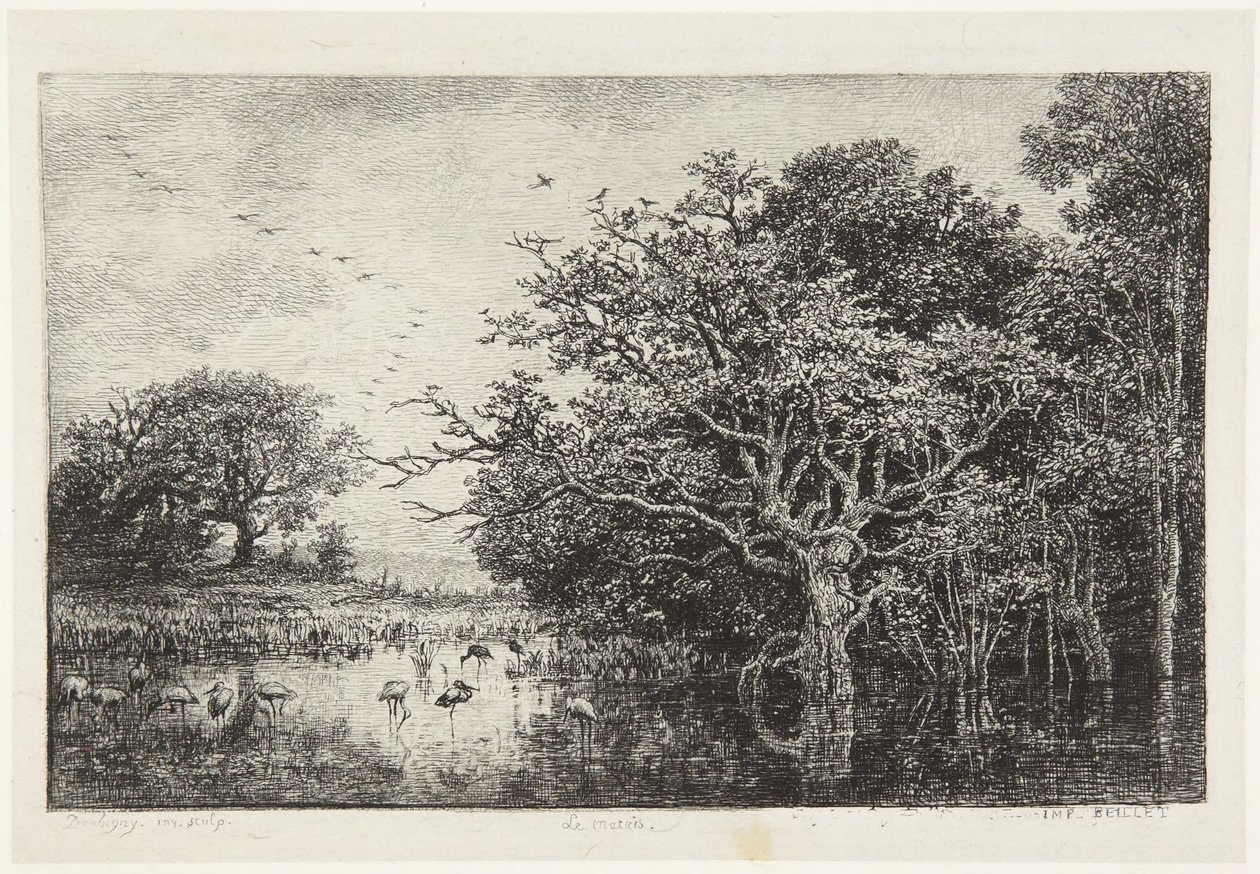 Haikarasuo tekijältä Charles Francois Daubigny