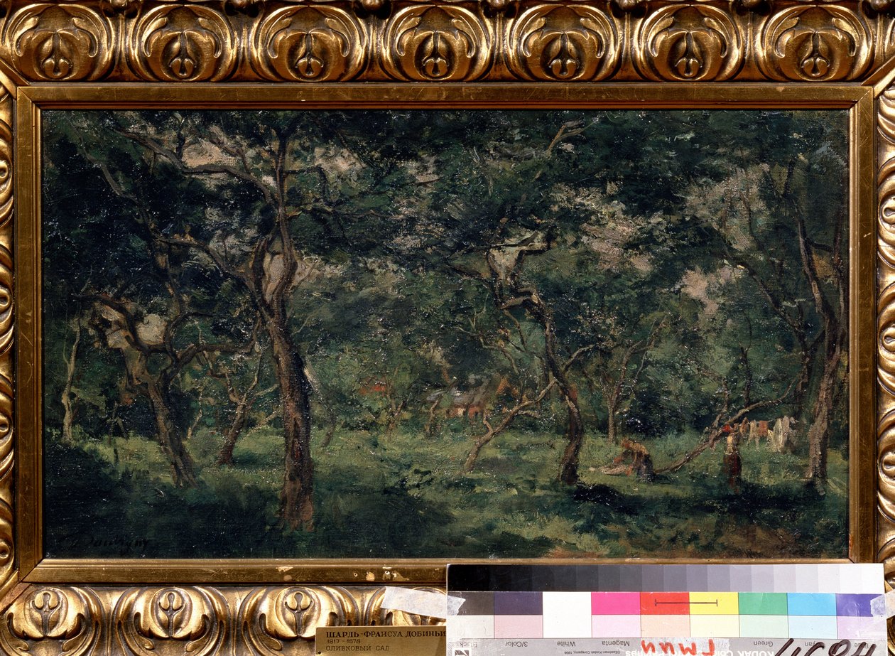 Charles Francois Daubignyn (1817-1878) maalaus "Oliivilehto" (Olive Orchard) 1870-1873 Pushkin-museo, Moskova tekijältä Charles Francois Daubigny