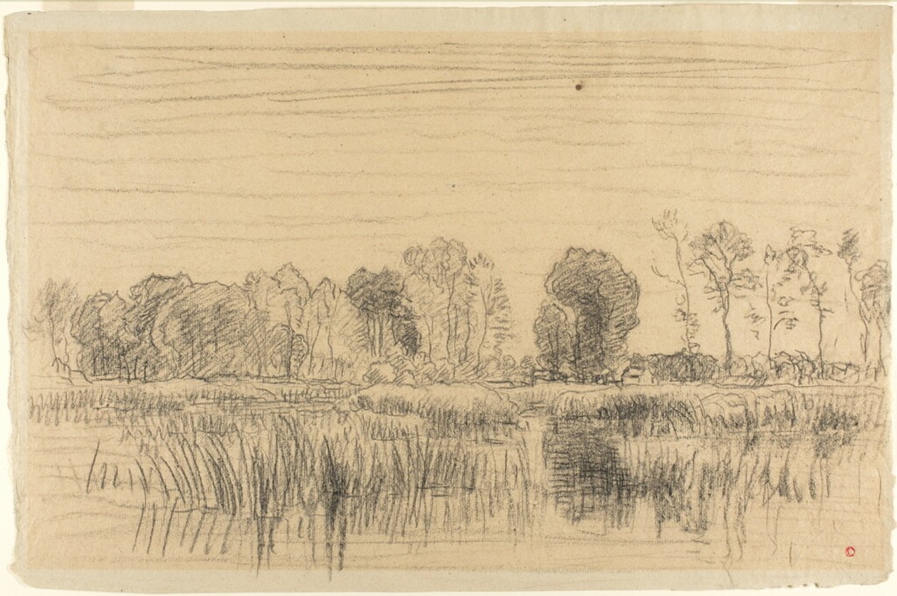 Suo ja puiden suoja tekijältä Charles Francois Daubigny