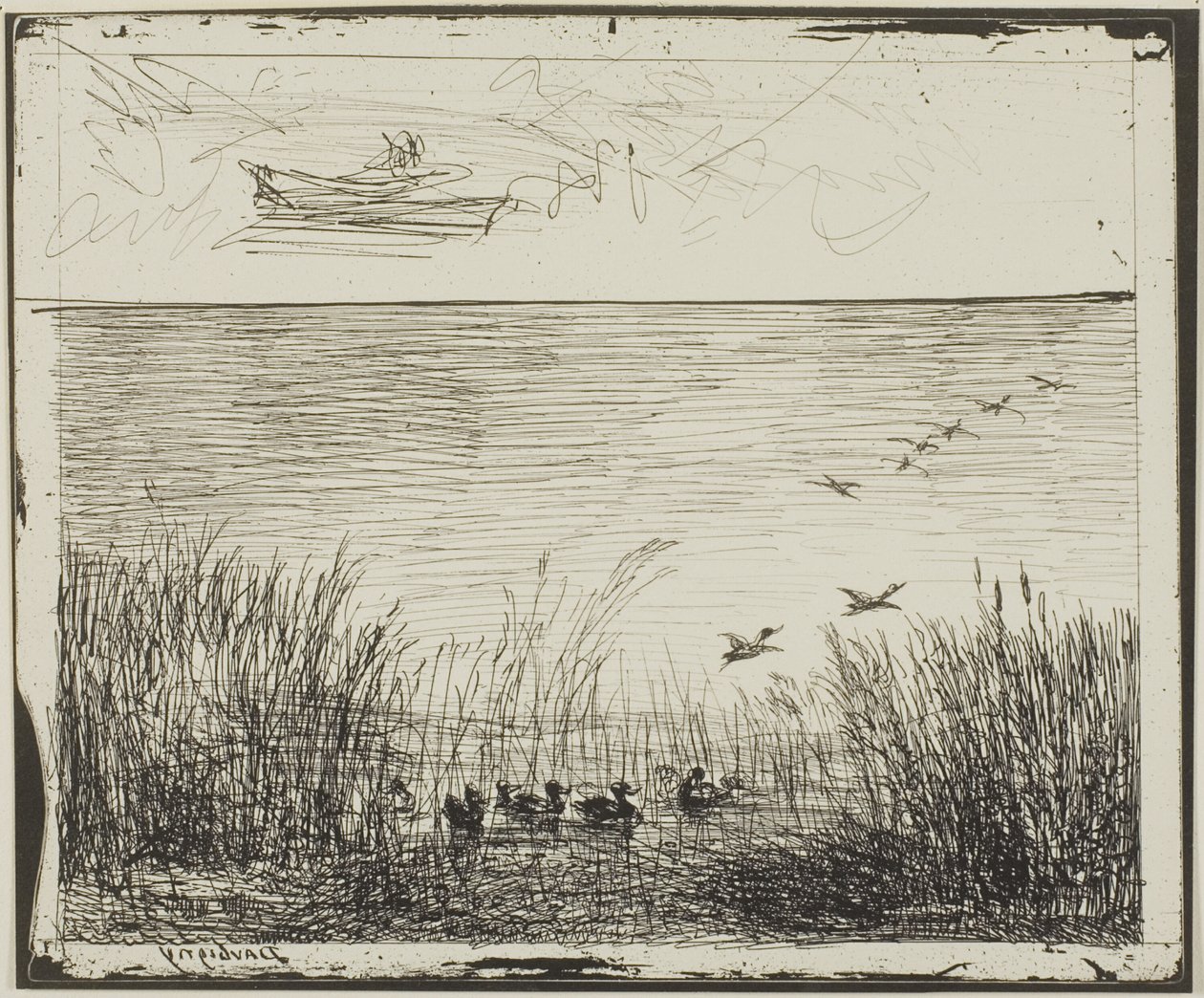 Marsh ankkojen kanssa tekijältä Charles Francois Daubigny