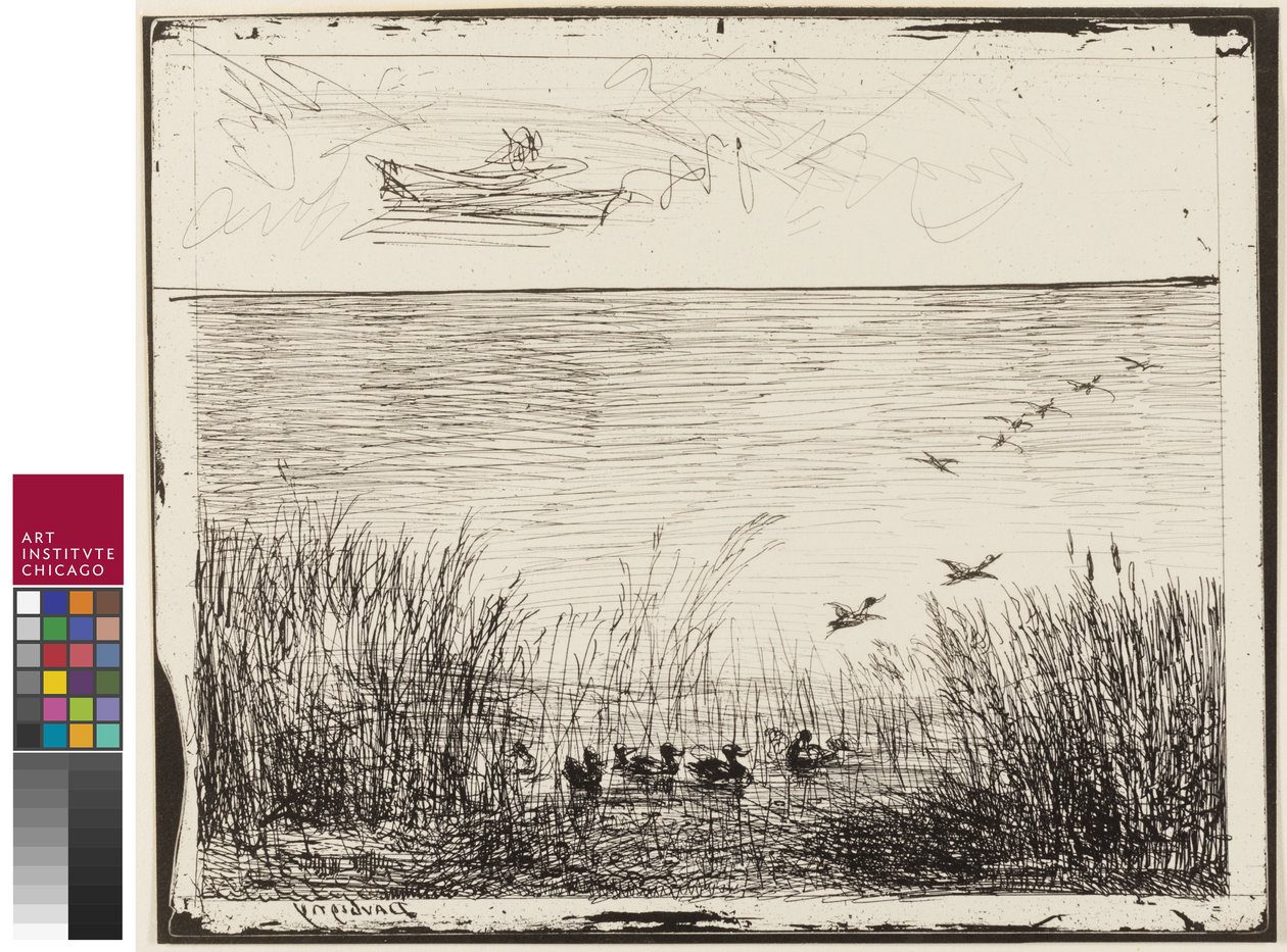 Marsh ankkojen kanssa, 1862 tekijältä Charles Francois Daubigny