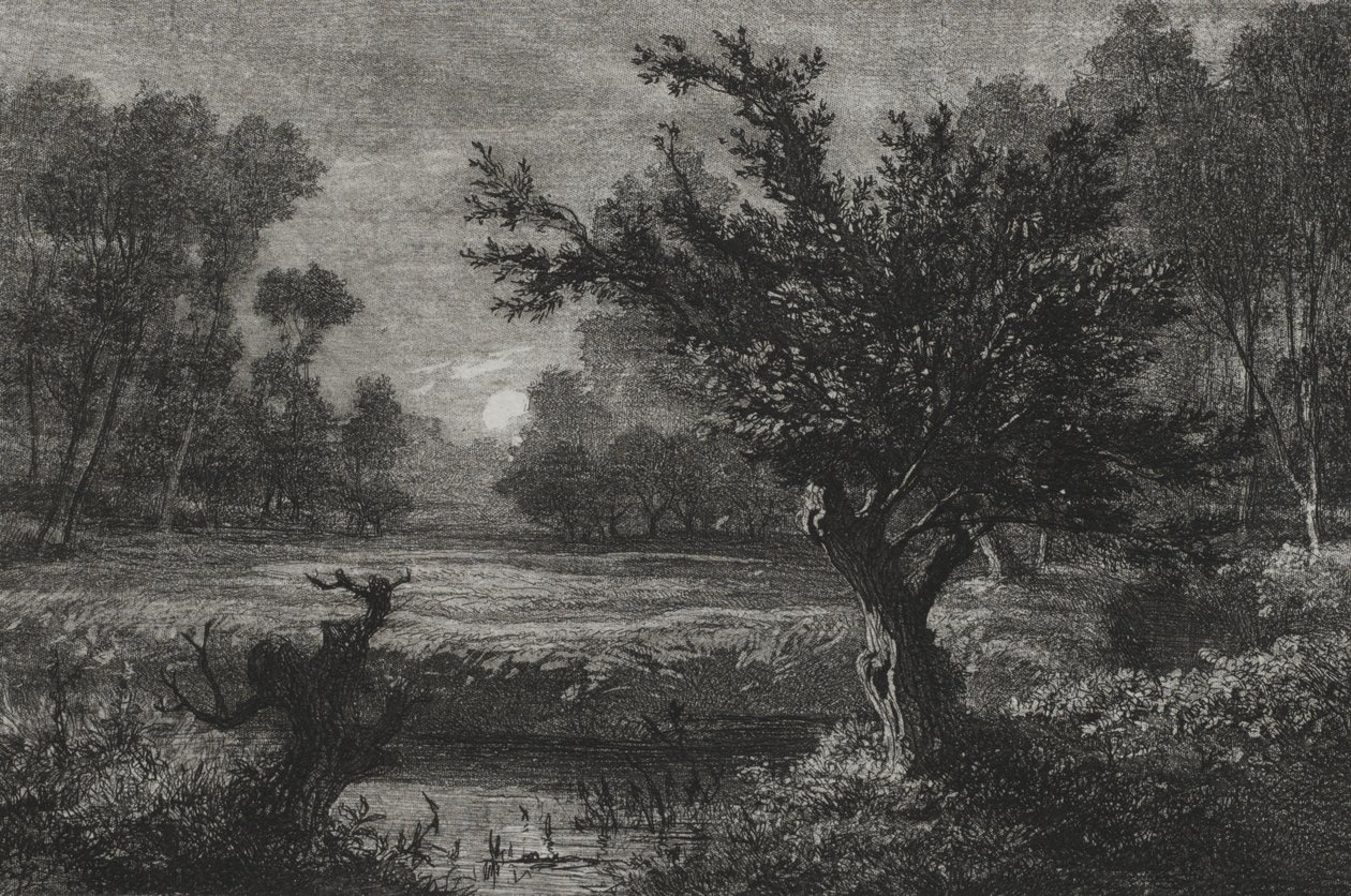 Kuunnousu Andillyn laaksossa tekijältä Charles Francois Daubigny