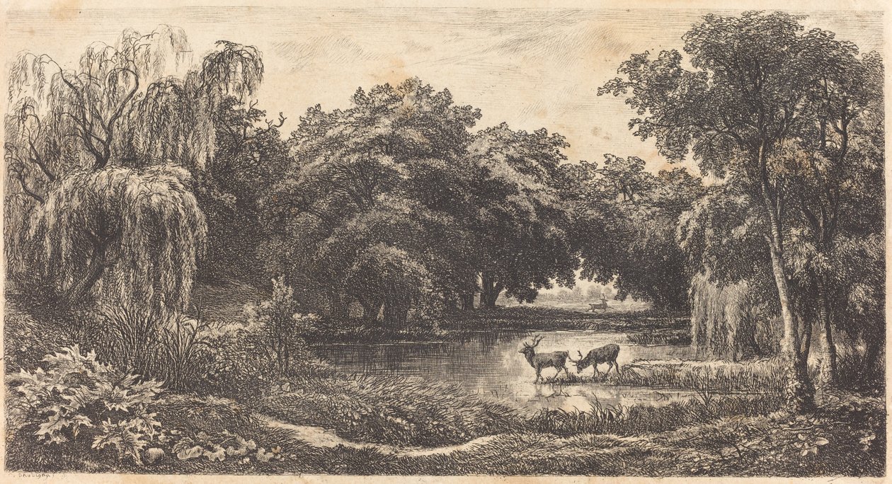 Uima-allas peuran kanssa tekijältä Charles Francois Daubigny