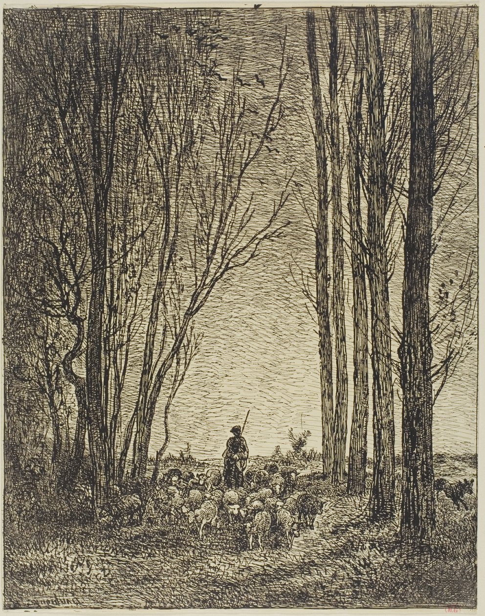 Parven paluu tekijältä Charles Francois Daubigny