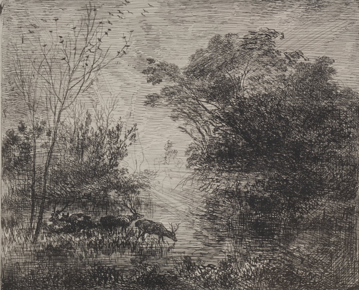Stags tekijältä Charles Francois Daubigny