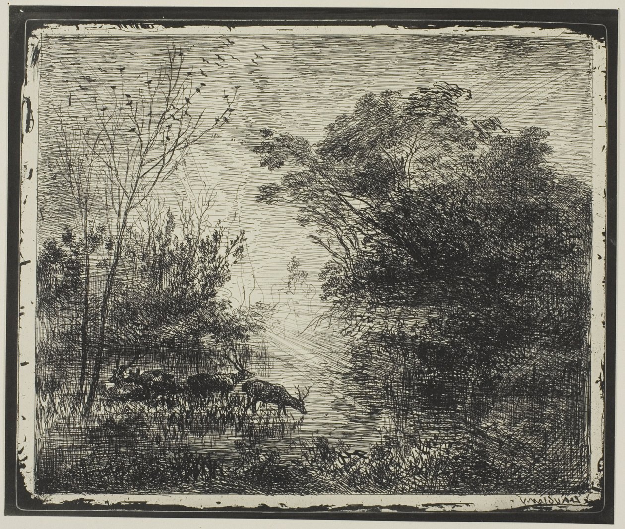 Stags tekijältä Charles Francois Daubigny