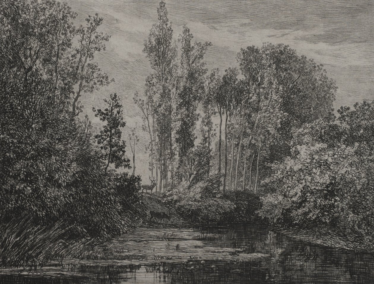 Hirvet veden äärellä tekijältä Charles Francois Daubigny