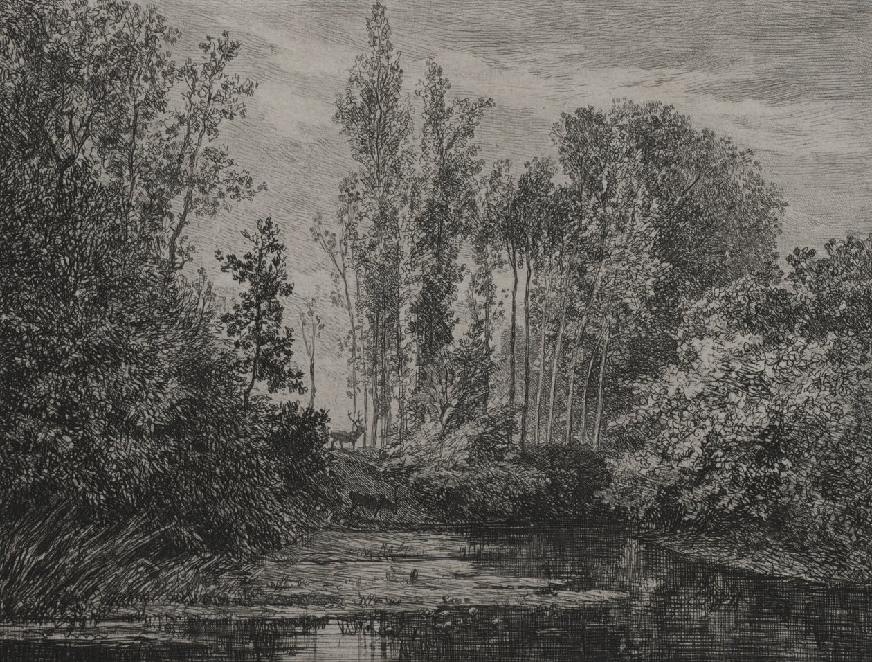 Hirvet veden äärellä, 1850. tekijältä Charles Francois Daubigny