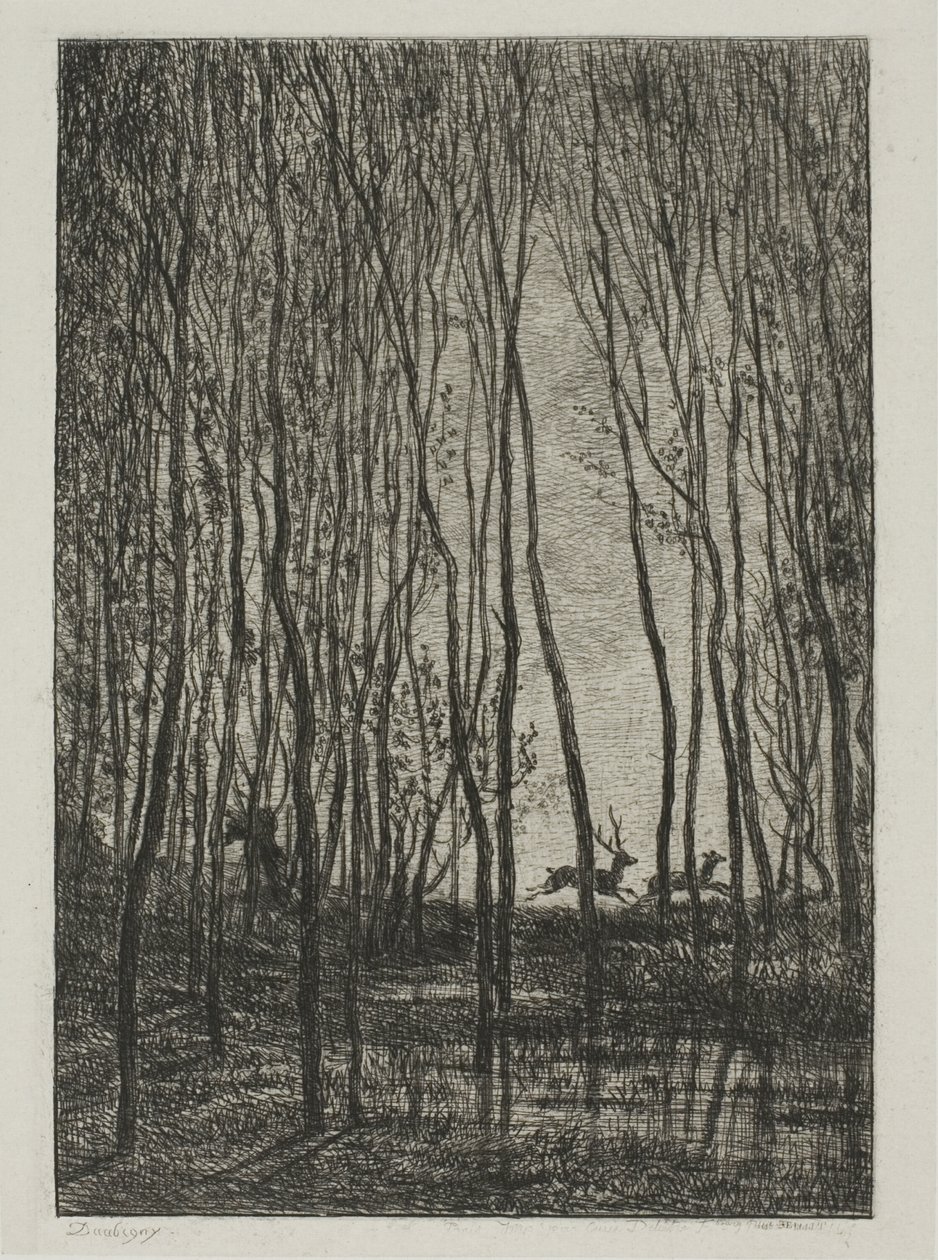 Hirvit metsässä tekijältä Charles Francois Daubigny