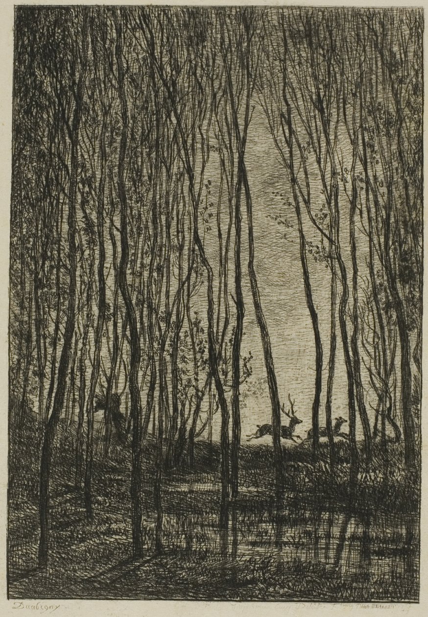 Hirvit metsässä tekijältä Charles Francois Daubigny