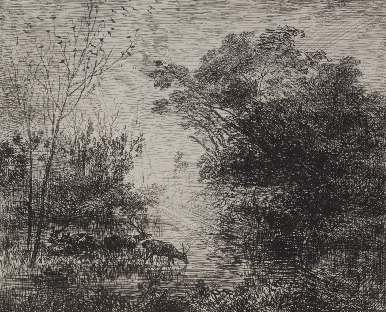 Hirvet, alkuperäinen jäljennös 1862, painettu 1921. tekijältä Charles Francois Daubigny