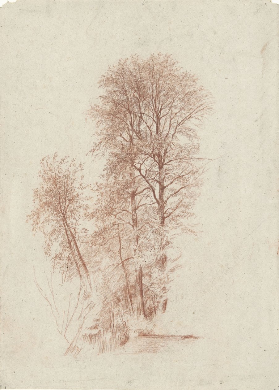 Tutkimus kahdesta hoikasta ja muutamasta pienemmästä lehtipuusta tekijältä Charles Francois Daubigny