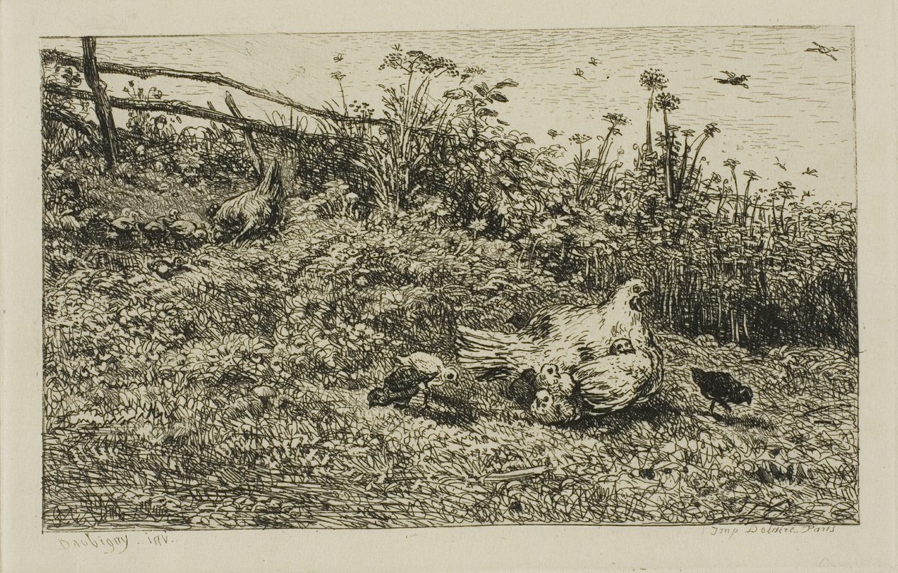 Kana ja hänen poikaset tekijältä Charles Francois Daubigny