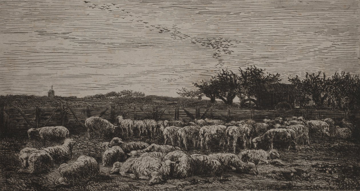 Suuri lammastarha tekijältä Charles Francois Daubigny
