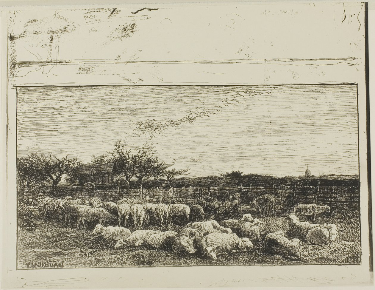 Suuri lammastarha tekijältä Charles Francois Daubigny