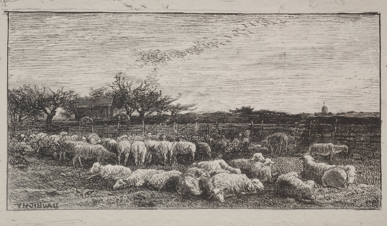 Suuri lammastarha tekijältä Charles Francois Daubigny