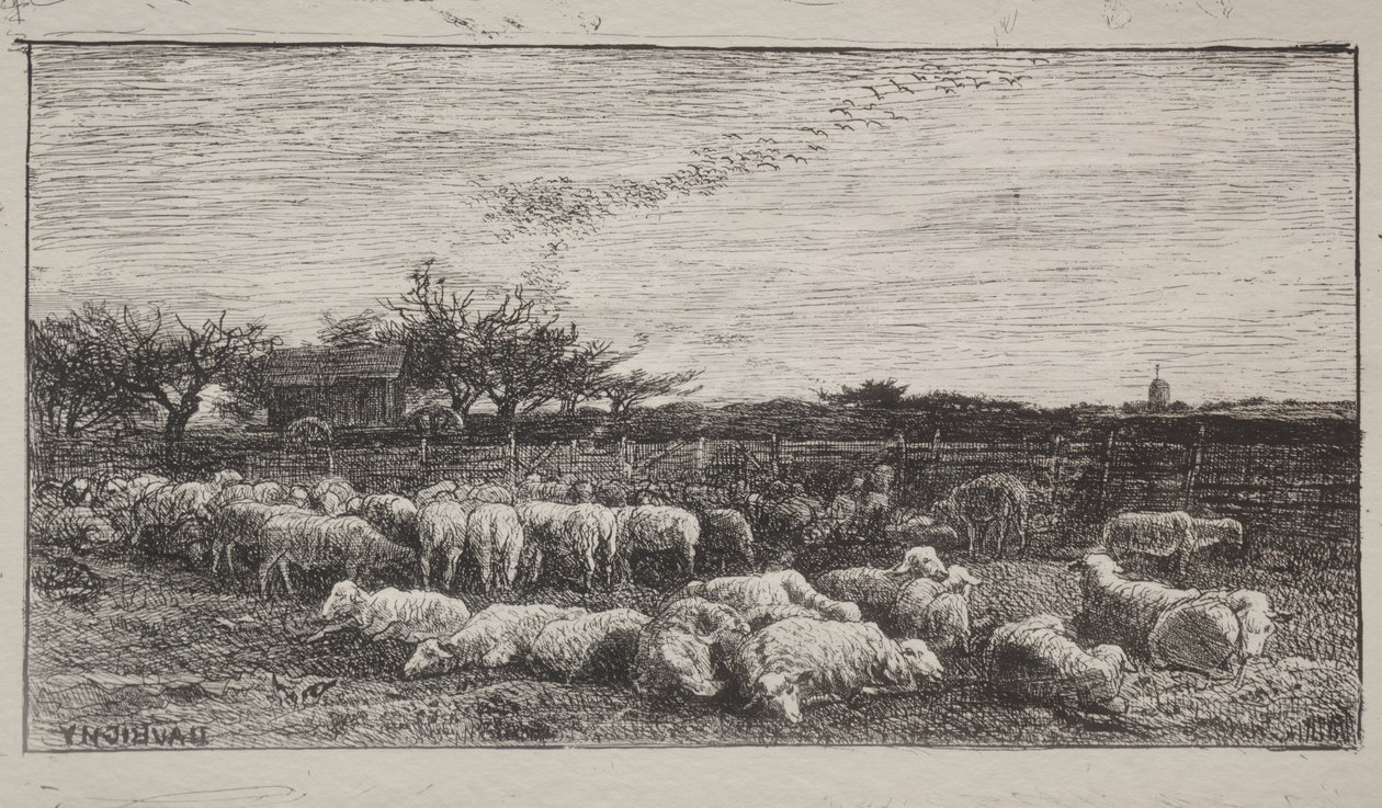 Suuri lammastarha, alkuperäinen jäljennös 1862, painettu 1921. tekijältä Charles Francois Daubigny