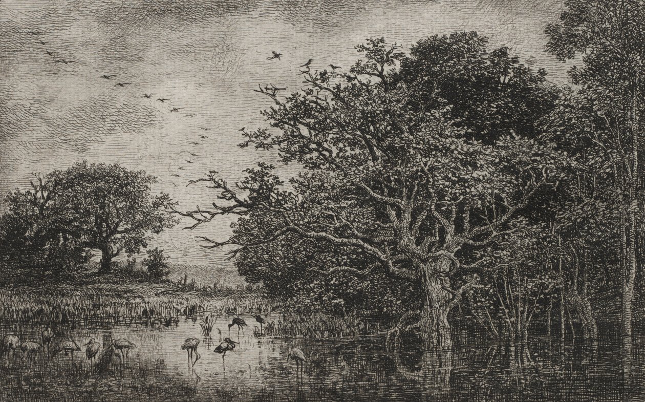 Suo haikaroiden kanssa, n. 1851. tekijältä Charles Francois Daubigny