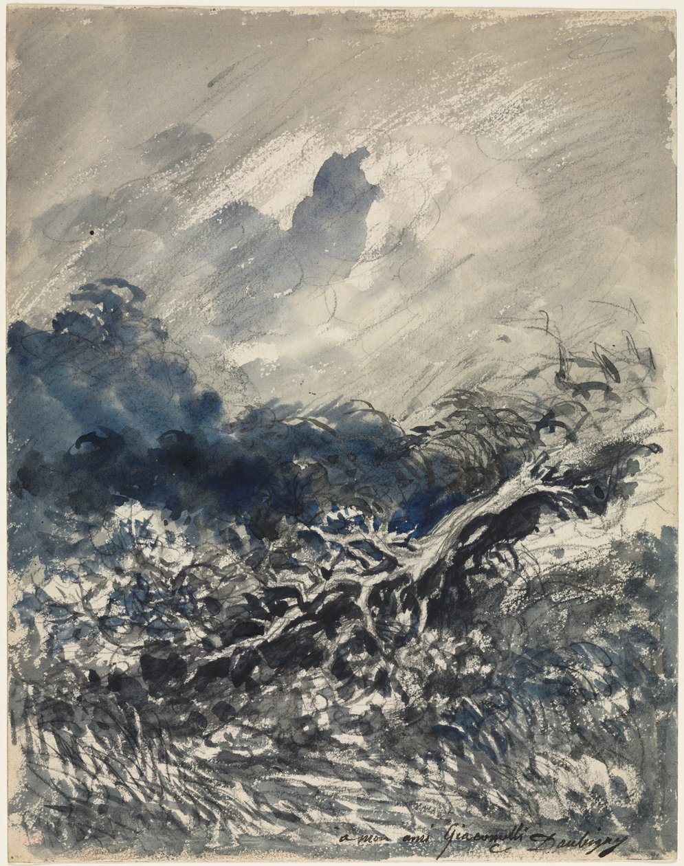 Tammipuu ja ruoko tekijältä Charles Francois Daubigny