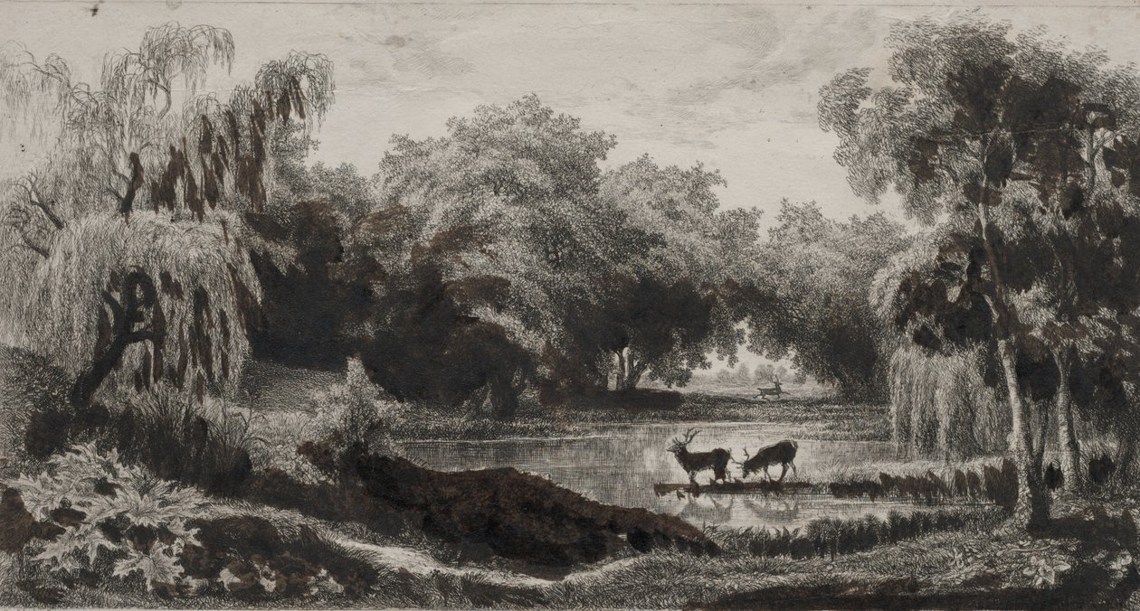 Uima-allas hirvieläinten kanssa tekijältä Charles Francois Daubigny