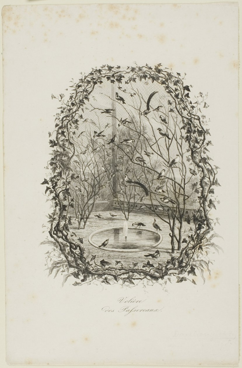 Sparrow Aviary tekijältä Charles Francois Daubigny