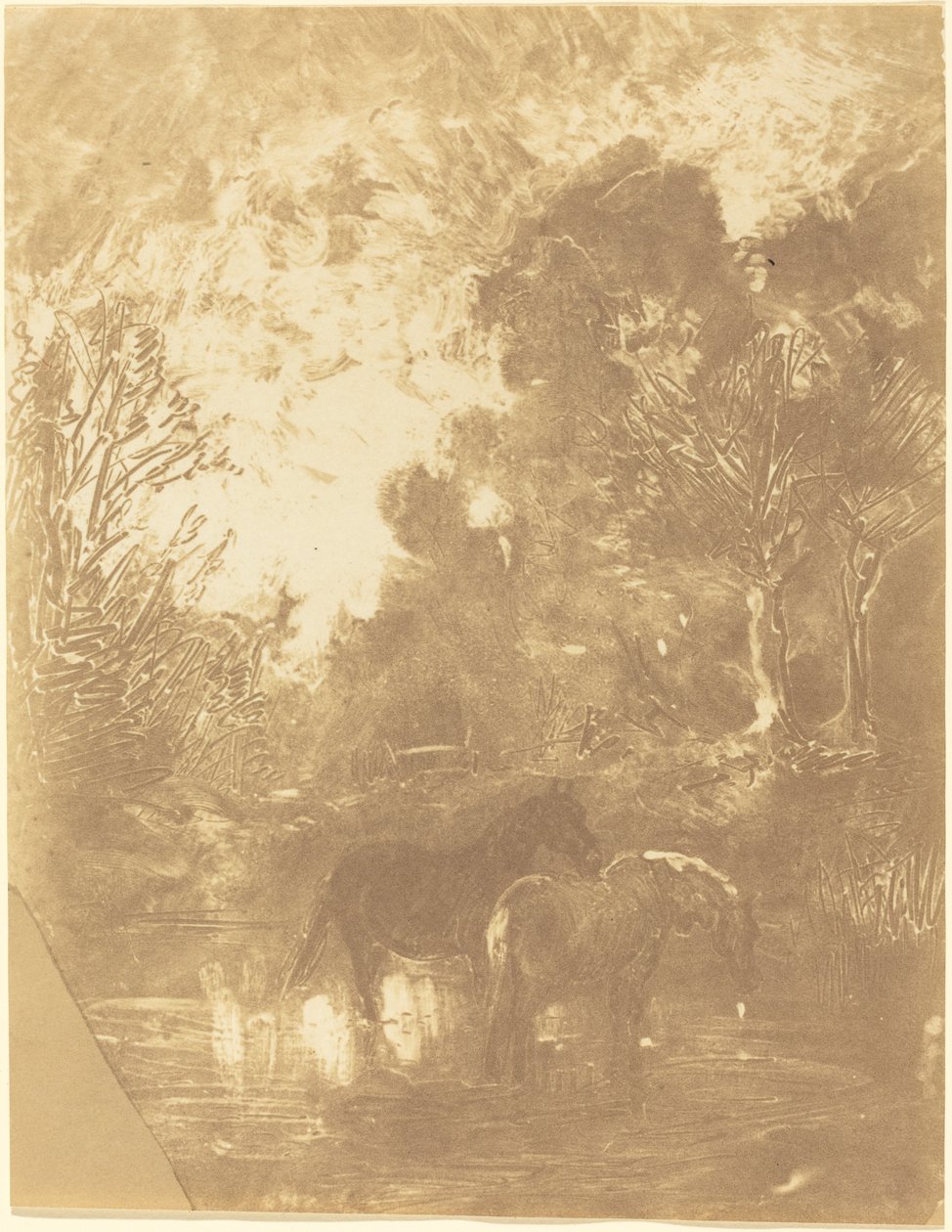 Kaksi hevosta juomapaikalla tekijältä Charles Francois Daubigny