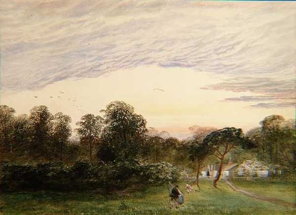 Bannisters Woodissa, Southamptonissa tekijältä Charles Frederick Williams