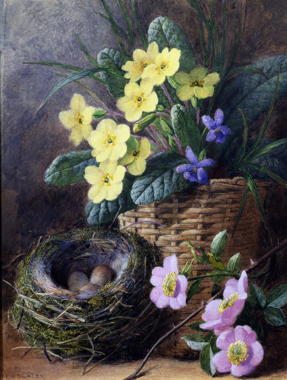 Primrosien, orvokkien ja ruusujen asetelma. Asetelma, jossa on pesä, munia ja kukkia. Charles Henry Slaterin (1820-1890) maalaus Yksityiskokoelma. tekijältä Charles H. Slater