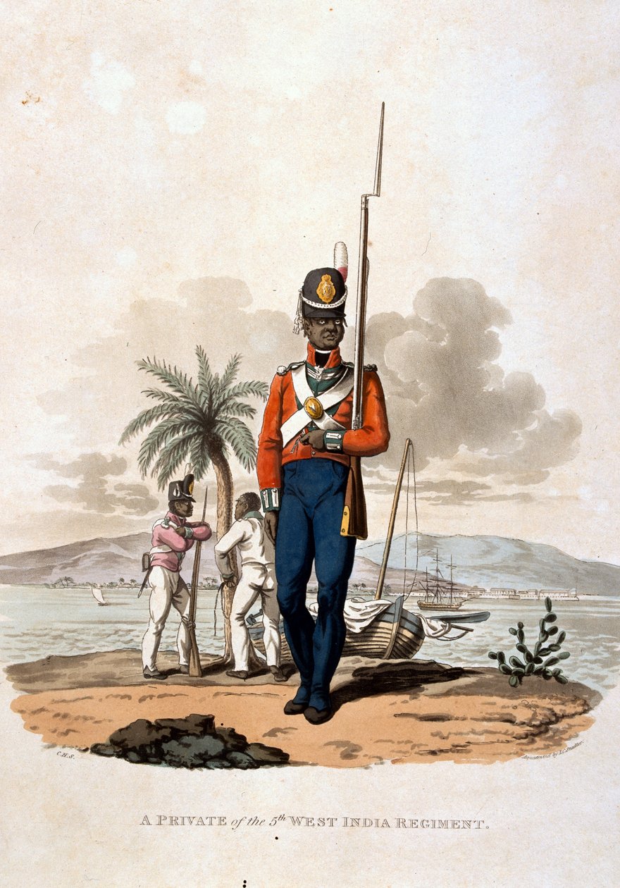 5. Länsi-Intian rykmentin sotamies, teoksesta "Costumes of the Army of the British Empire, according to the last regulations 1812" (Brittiläisen imperiumin armeijan puvut, vuoden 1812 viimeisten sääntöjen mukaan), kaiverrettu J.C. Stadlerin toimesta, julka tekijältä Charles Hamilton Smith