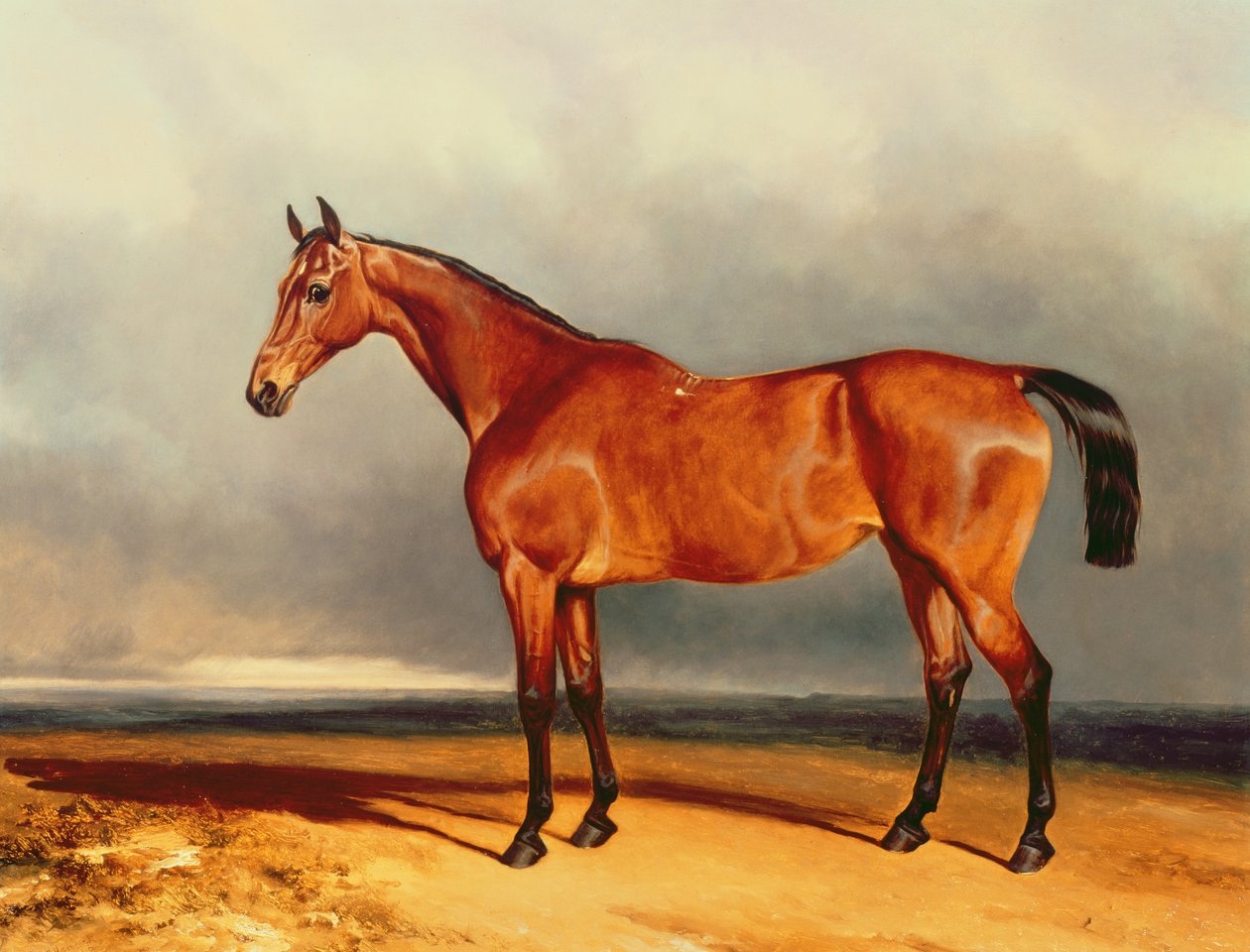 Bay Hunter tekijältä Charles Hancock