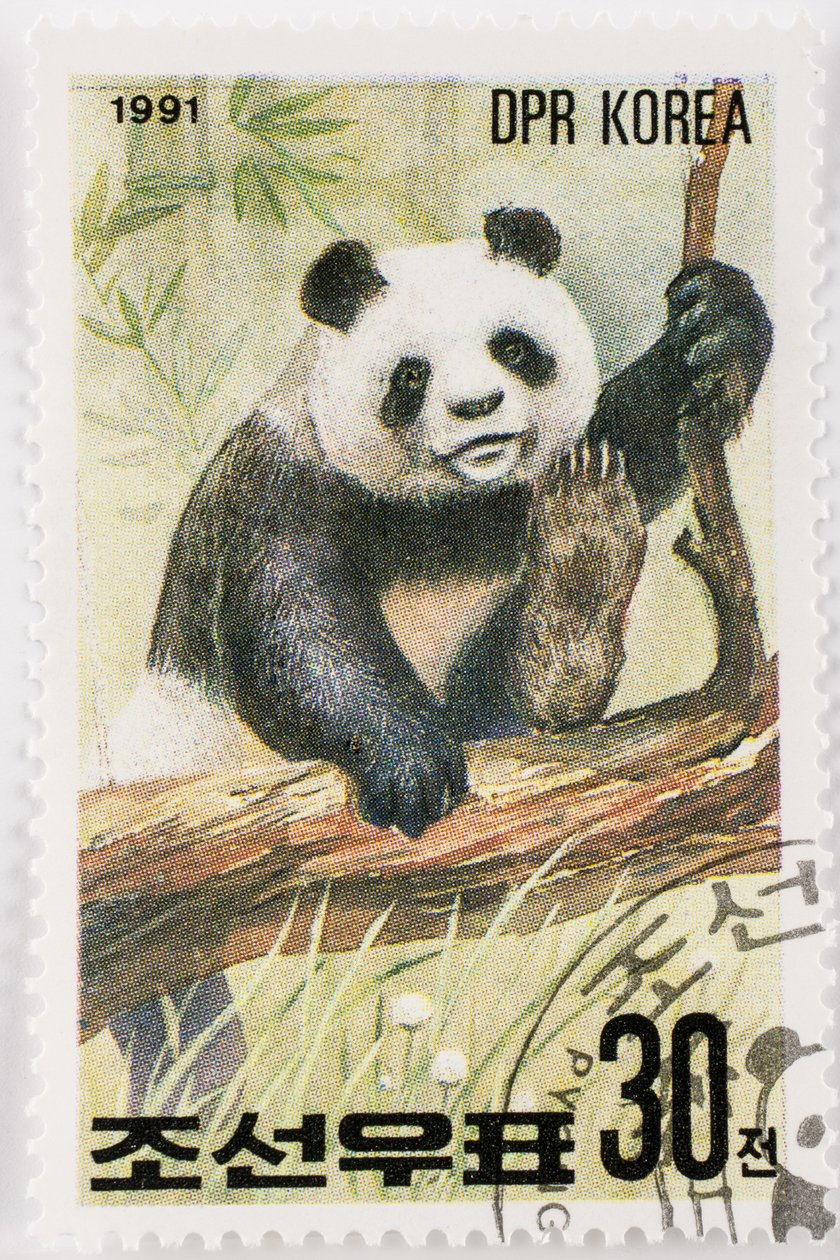 Postimerkki/Pohjois-Korea/Ailuropoda melanoleuca/Grand Panda/Giant Panda tekijältä Augustus Kollner