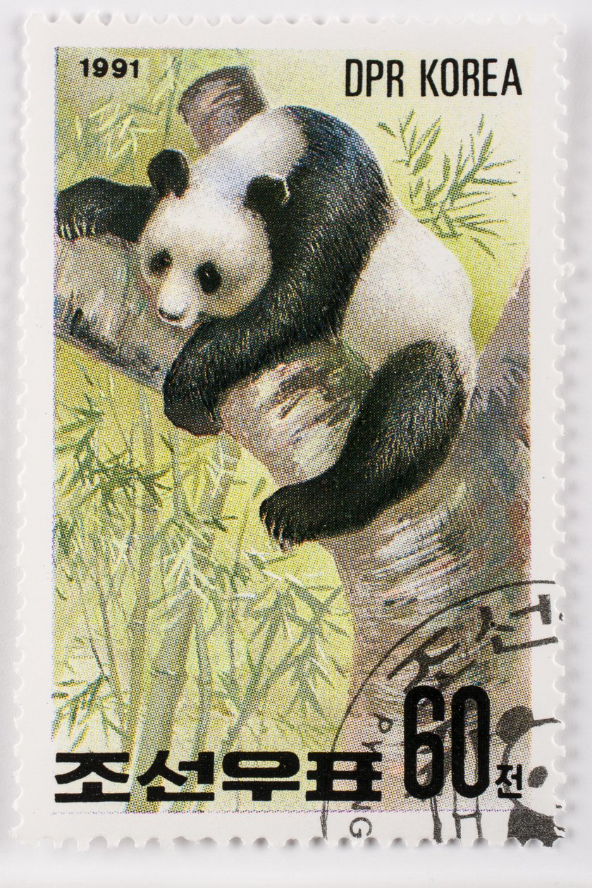 Postimerkki/Pohjois-Korea/Ailuropoda melanoleuca/Grand Panda/Giant Panda tekijältä Augustus Kollner