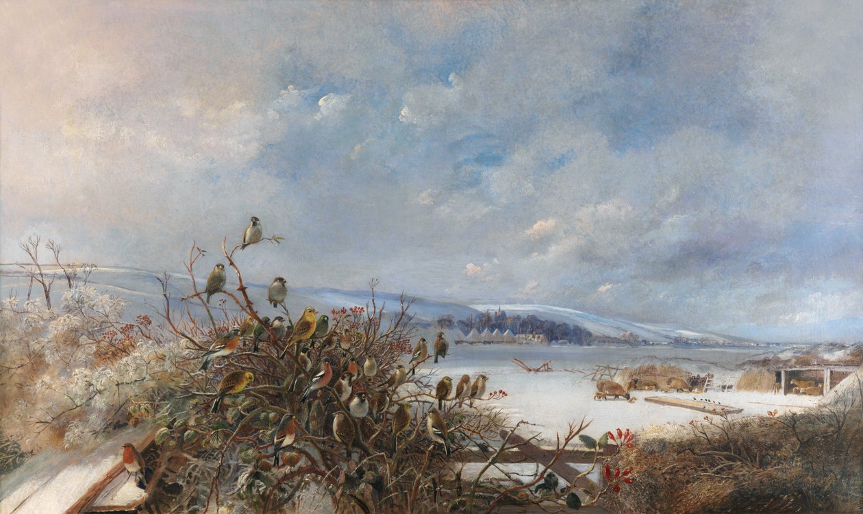 Samaa sakkia tekijältä Charles Henry Clifford Baldwyn