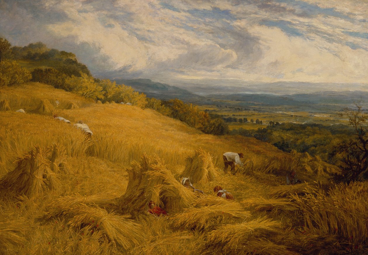 The Harvest (öljy kankaalle) tekijältä Charles Henry Passey